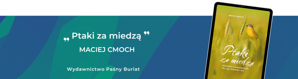 Ptaki za miedzą Maciej Cmoch